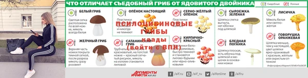 стаф Новодвинск