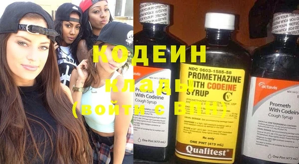 стаф Новодвинск