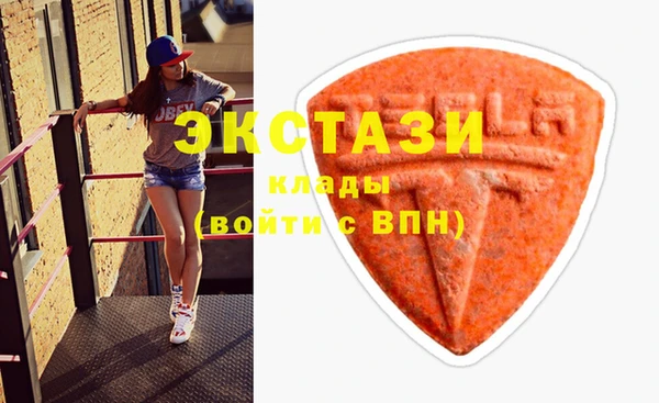 стаф Новодвинск