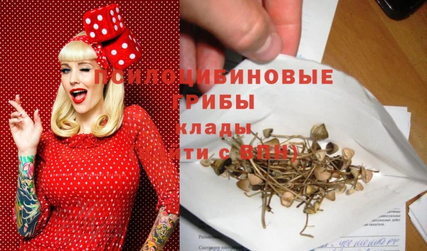 MDMA Premium VHQ Новозыбков