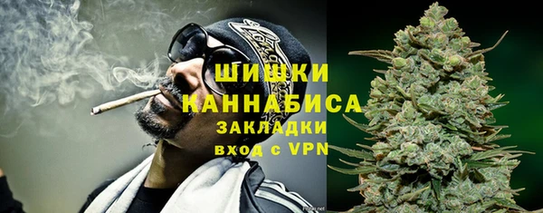 стаф Новодвинск