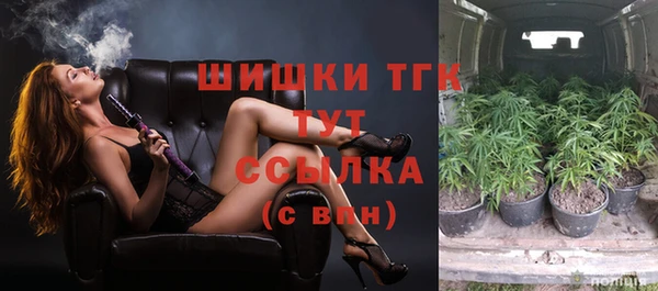 стаф Новодвинск